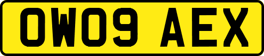 OW09AEX