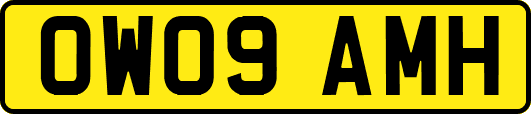 OW09AMH