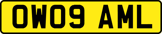 OW09AML