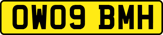 OW09BMH