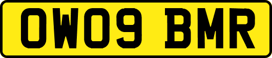 OW09BMR