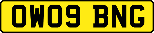 OW09BNG