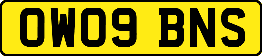 OW09BNS