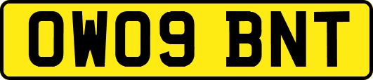 OW09BNT