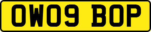 OW09BOP