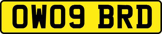 OW09BRD