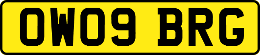 OW09BRG