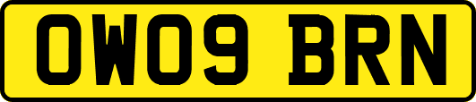 OW09BRN