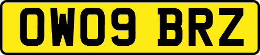 OW09BRZ