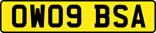 OW09BSA