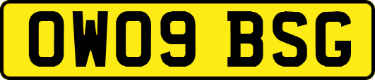 OW09BSG