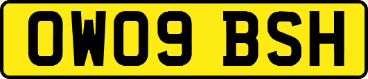 OW09BSH