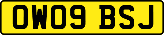 OW09BSJ