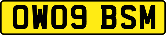 OW09BSM