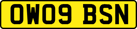 OW09BSN
