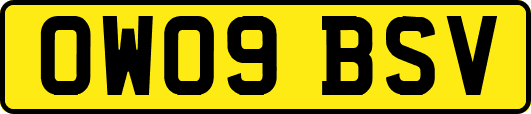 OW09BSV