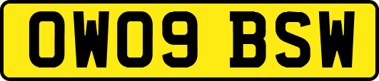 OW09BSW