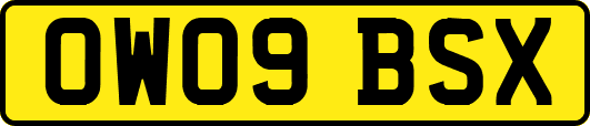 OW09BSX