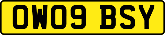 OW09BSY