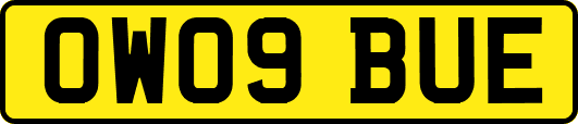 OW09BUE
