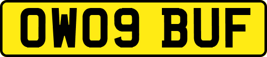OW09BUF
