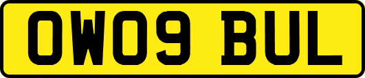 OW09BUL