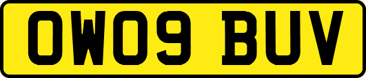 OW09BUV