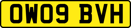 OW09BVH
