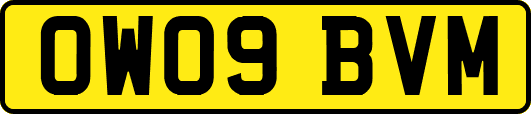 OW09BVM