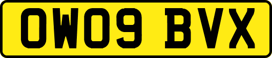 OW09BVX