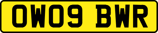 OW09BWR