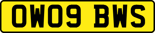 OW09BWS
