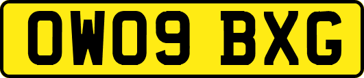 OW09BXG