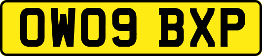 OW09BXP