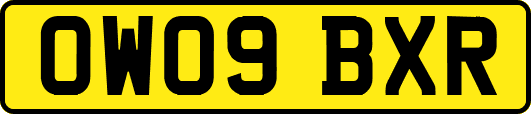 OW09BXR