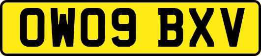 OW09BXV