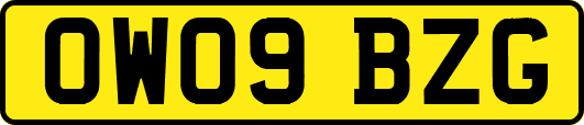 OW09BZG