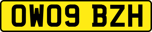 OW09BZH