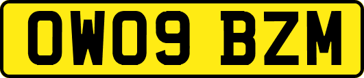 OW09BZM