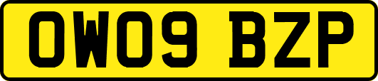 OW09BZP
