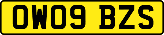 OW09BZS