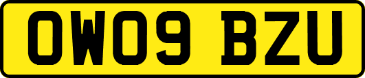OW09BZU