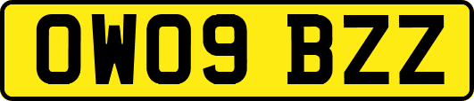 OW09BZZ