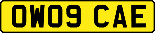 OW09CAE
