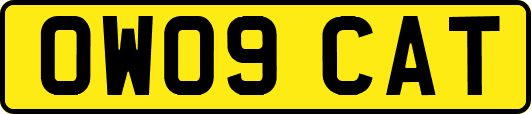 OW09CAT