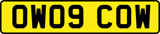 OW09COW