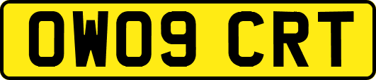 OW09CRT