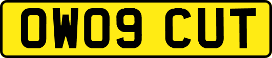 OW09CUT