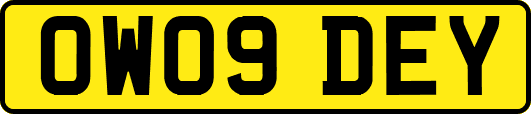 OW09DEY