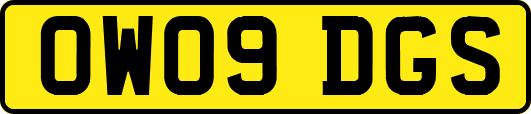 OW09DGS